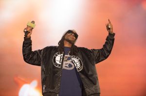 2016 Pemberton Music Festival