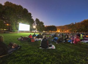 People sitting in a park in front of an illuminated projection screen