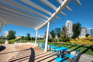 Charlotte, North Carolina USA - First Ward Park