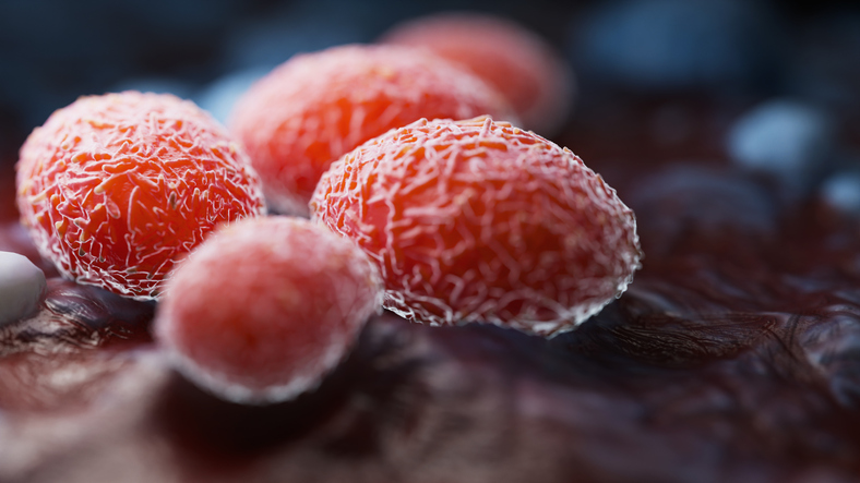 Viral Infection Monkeypox Virus