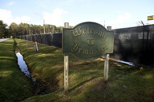 43 monkeys escape South Carolina research facility