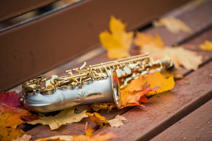 The saxophone lies on a rain-wet park bench among fallen autumn maple leaves.