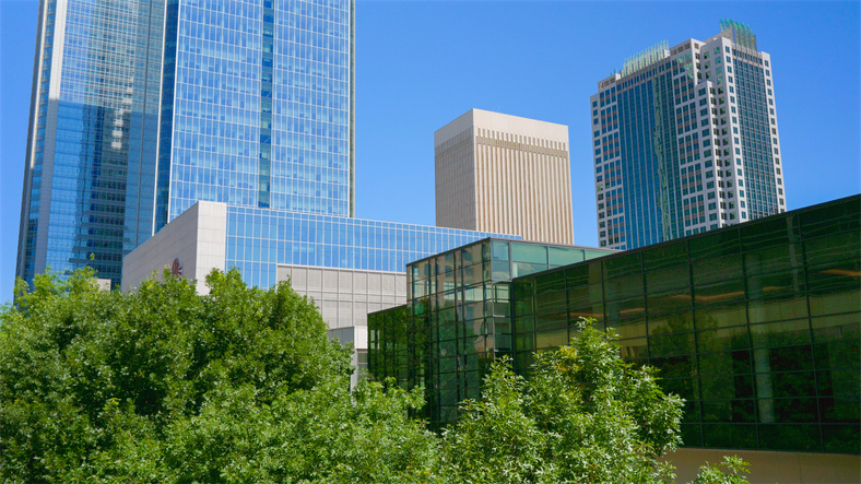 Charlotte North Carolina City Street and Side Walk - Greenery