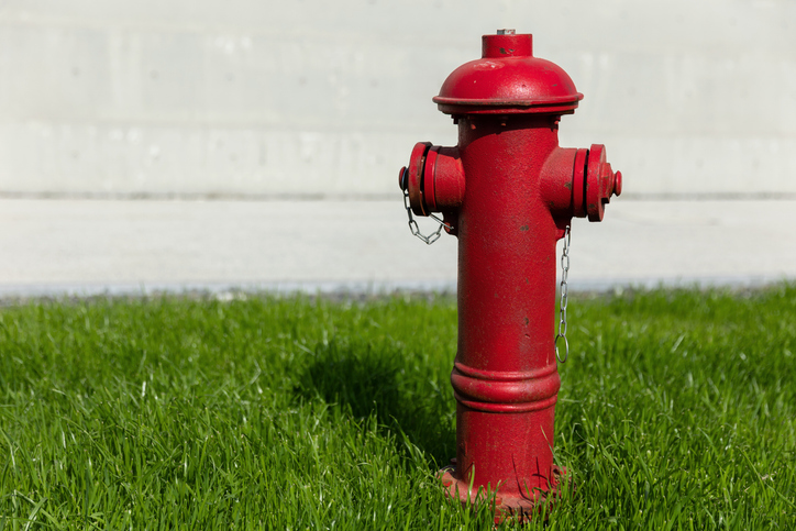 Fire hydrant and grass